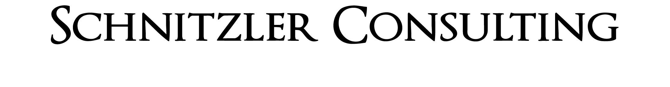 Schnitzler Consulting Düsseldorf